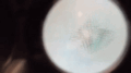 15156165151500005456454.gif
