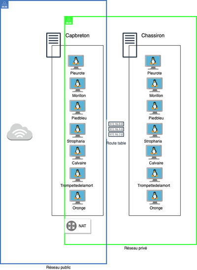 Ansible.png