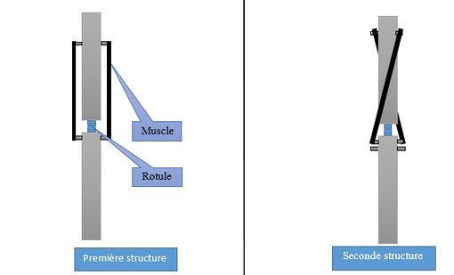 Les différentes architectures testées