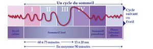 Cycles-du-sommeil.jpg