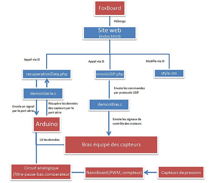 Organigramme.jpg