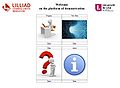Pfe p13 interfaceweb.JPG