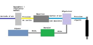 Description de l'alimentation pour un muscle