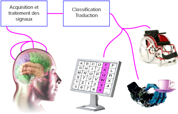 Schema-bci.png