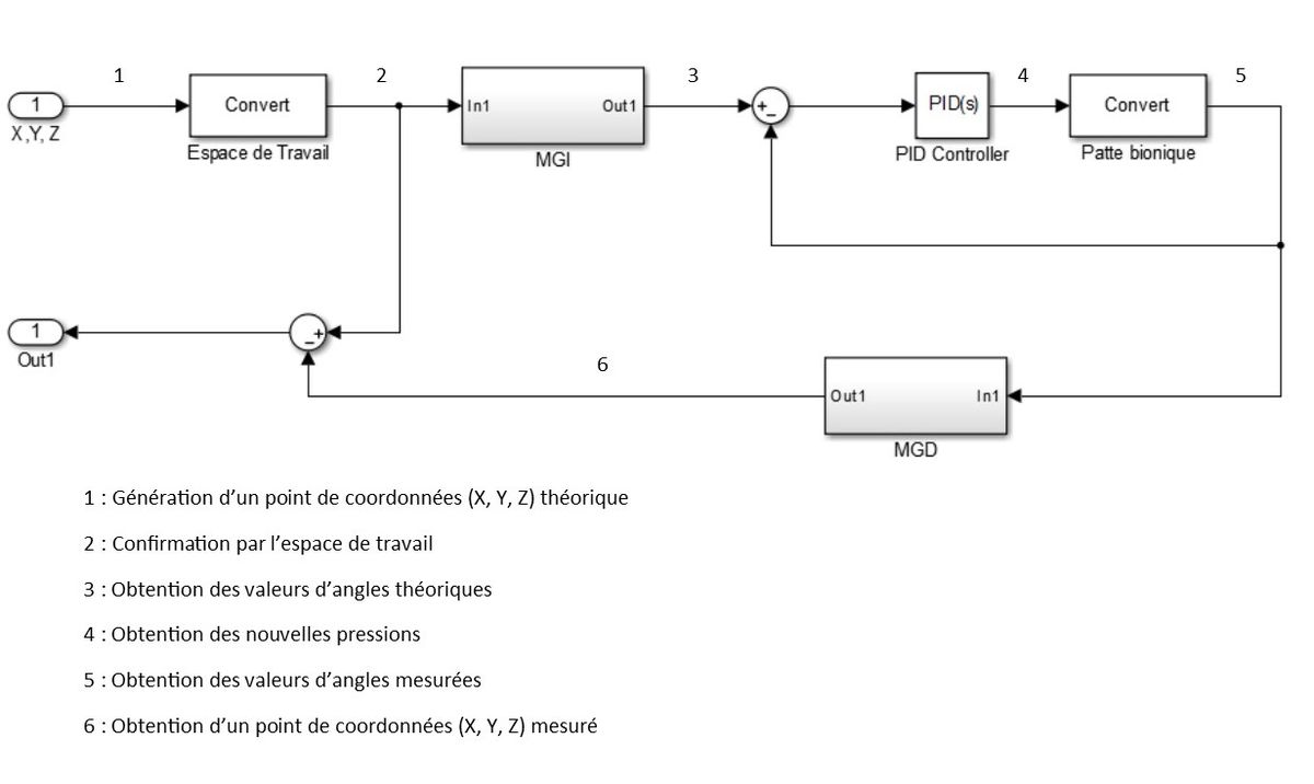 Les différentes tâches à réaliser pour commander la patte en BF