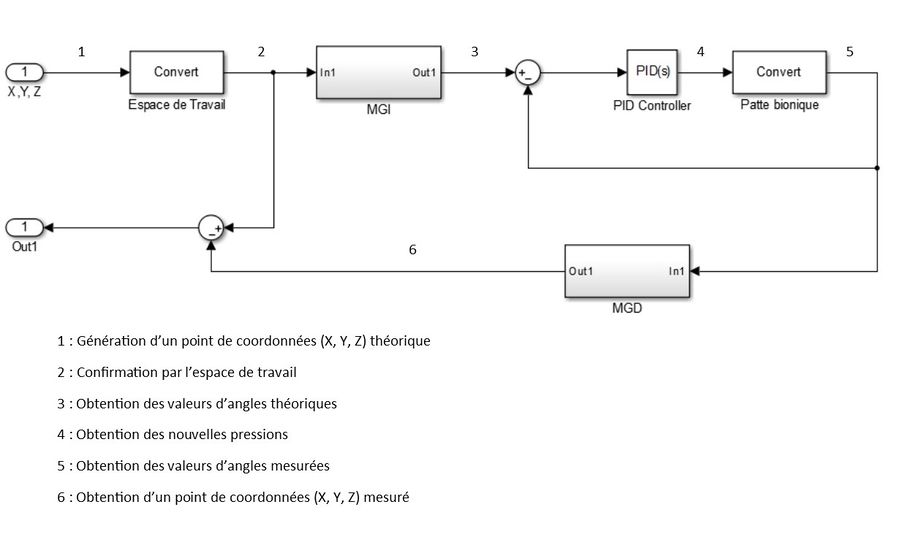 Les différentes tâches à réaliser pour commander la patte en BF